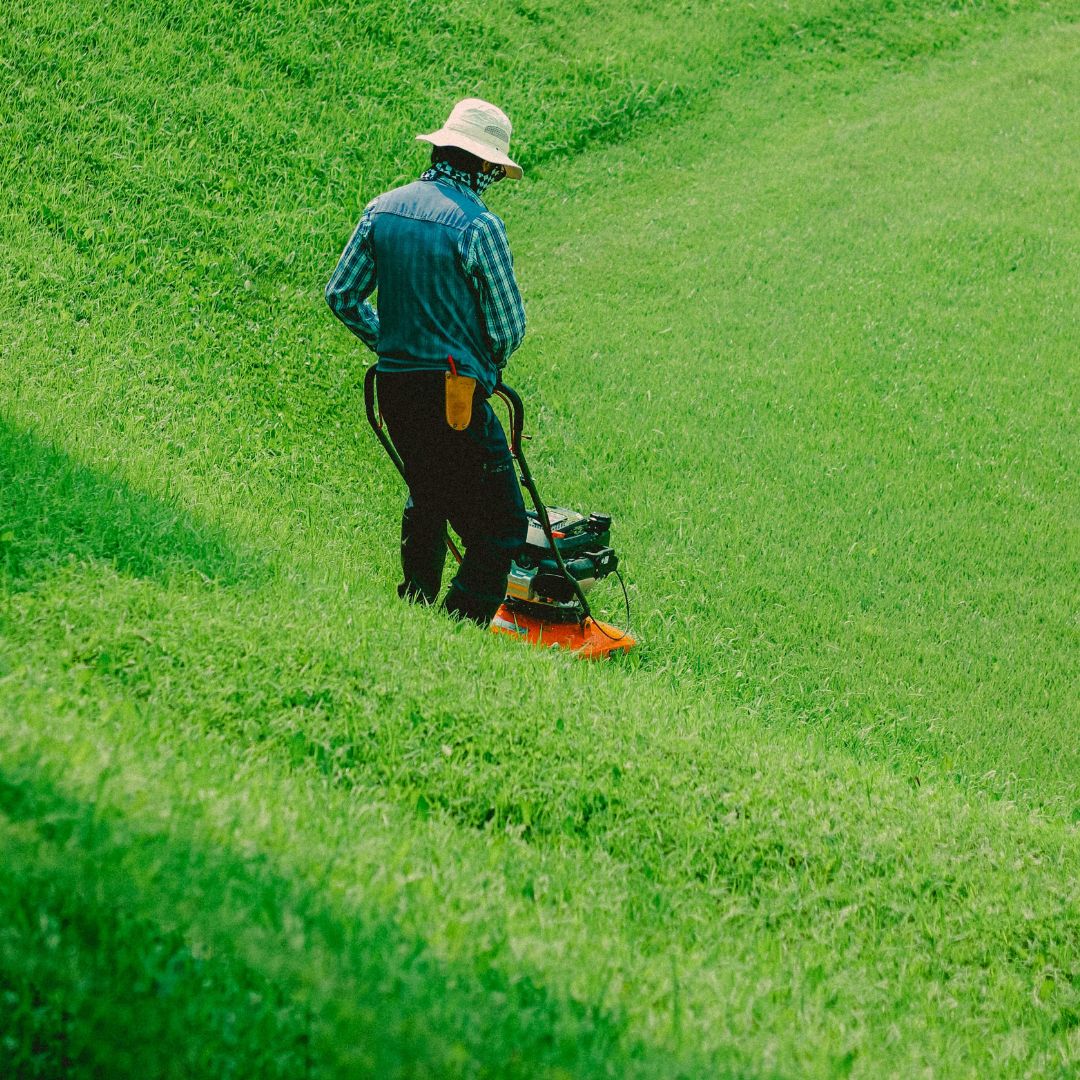 Woodland Park Landscaping